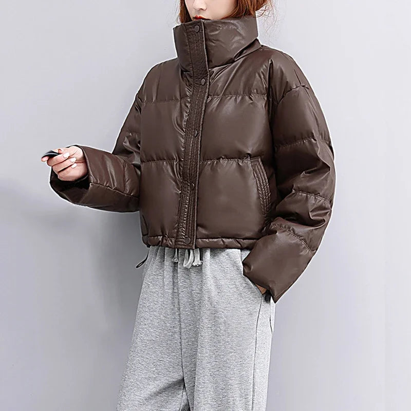 Thick Casual Puffer Jacket